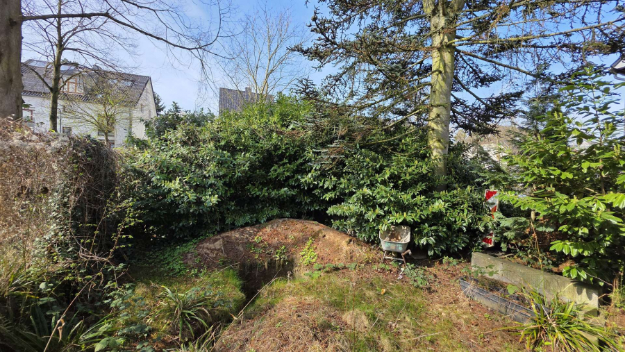 Garten aktuell