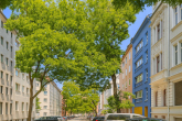 Scheurenstraße