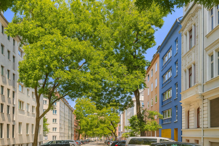 Scheurenstraße