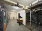 Keller - KLASSE INVESTMENT MIT SICHERER MIETE – 2 ZI APARTMENT & GARAGE