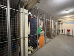 Keller - *FREIE 2 ZI WOHNUNG MIT BALKON + GARAGE* – IN NIEDERKASSEL