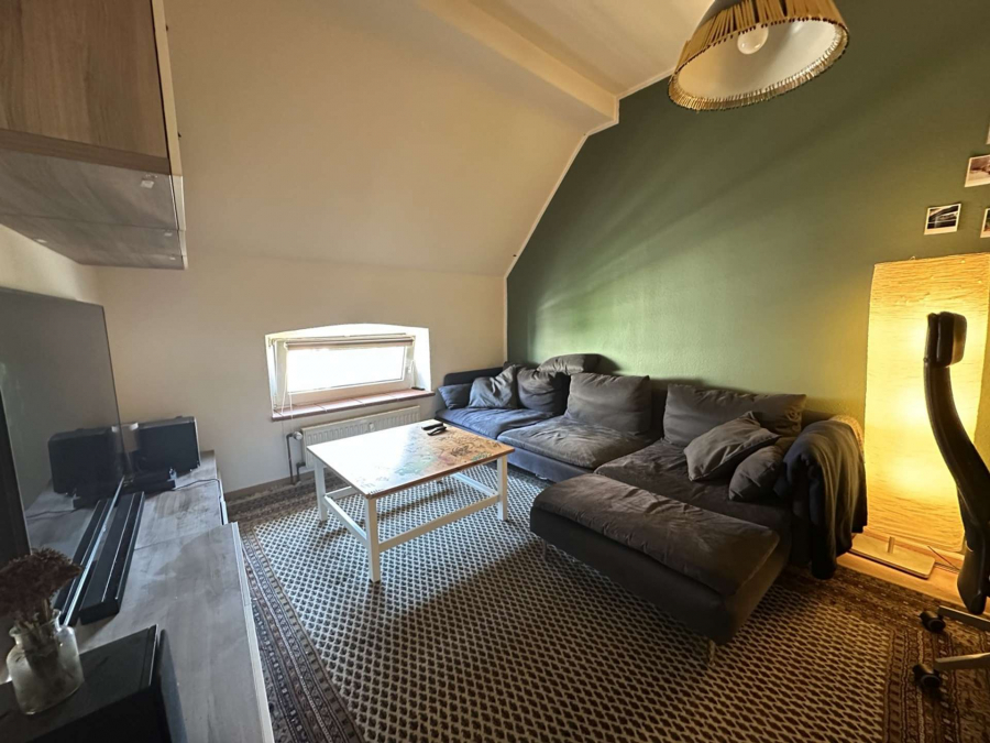 Wohnzimmer/Schlafen