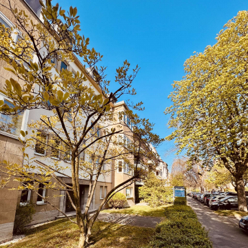 -I| 3AUF1SCHLAG || Drei tolle Whg-en im DG || LEBEN IM ZOOVIERTEL |I-, 40237 Düsseldorf, Dachgeschosswohnung