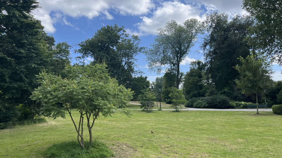 Hofgarten