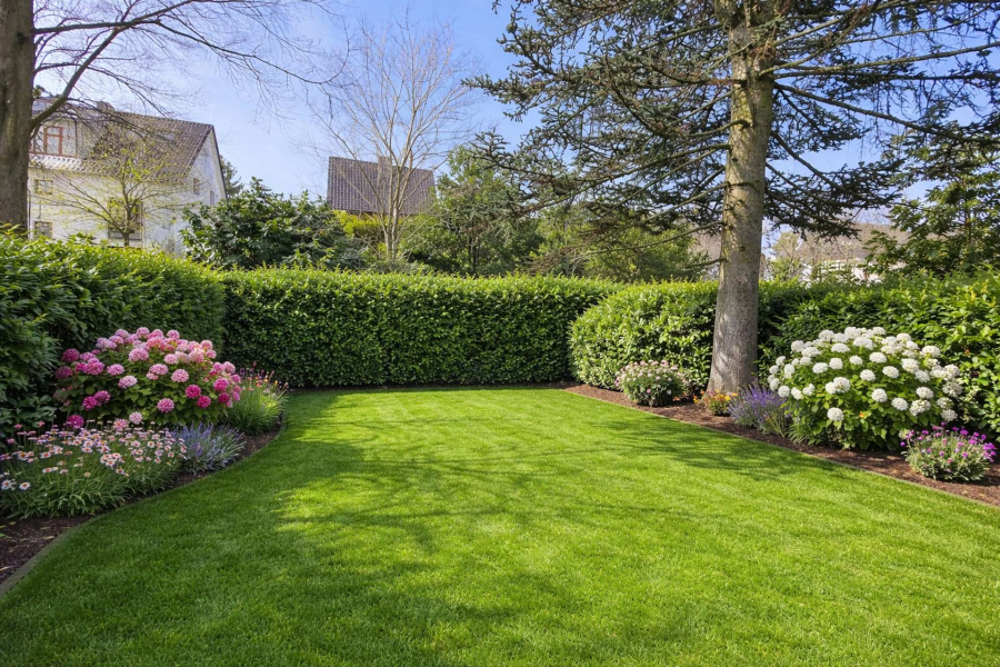 Garten visualisiert