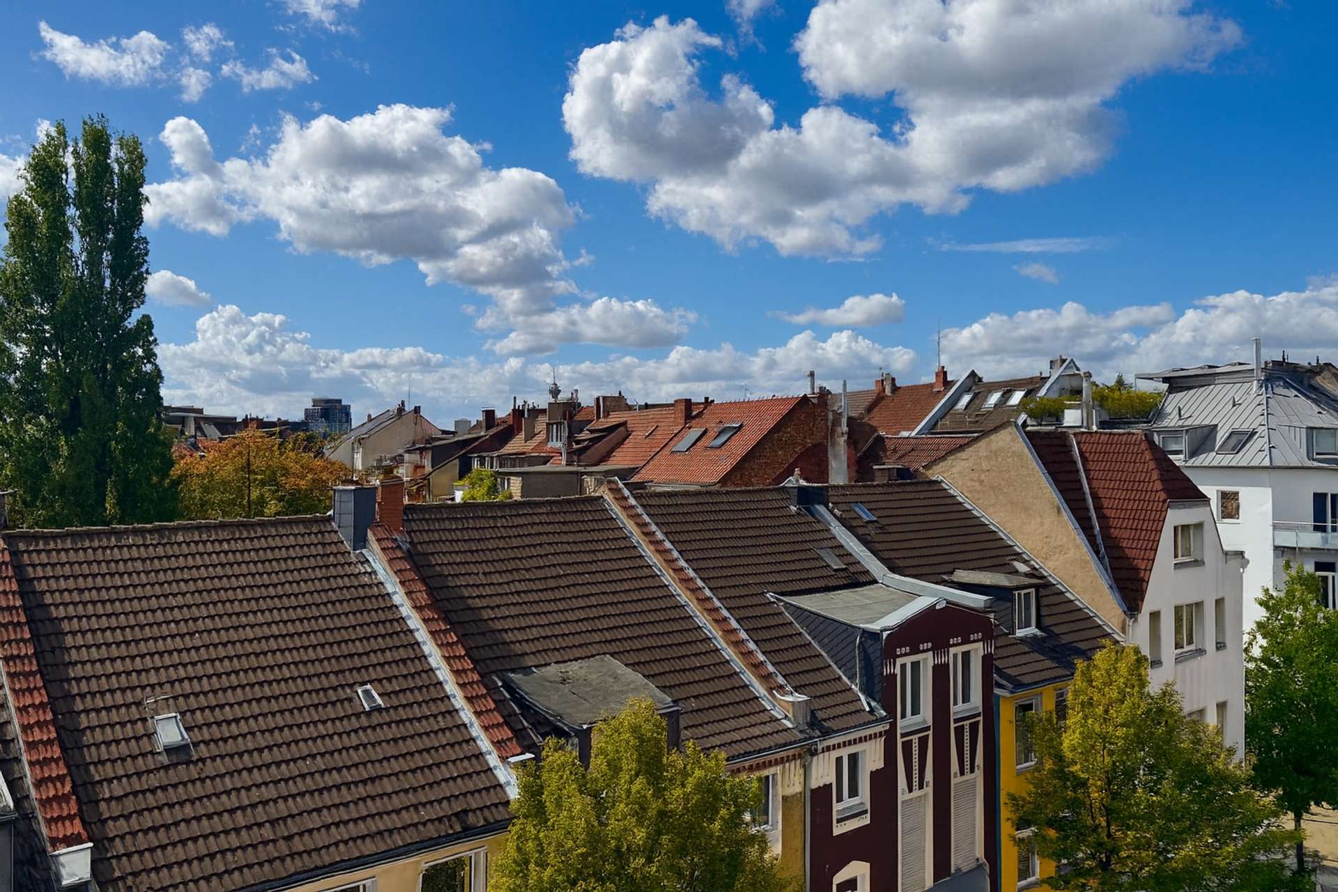 Ausblick
