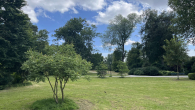 Hofgarten - -I| TOP-PREIS || Schöne DG-Wohnung mit viel Potential || NORDSTRAßENFLAIR |I-